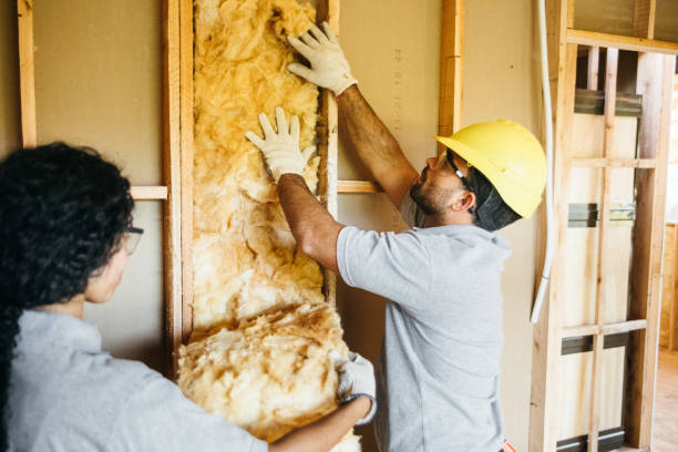 Best Commercial Insulation Contractor  in Scenic, AZ