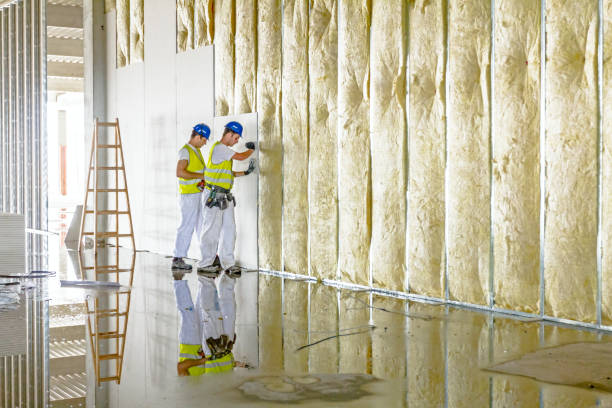 Best Insulation for Commercial Buildings  in Scenic, AZ